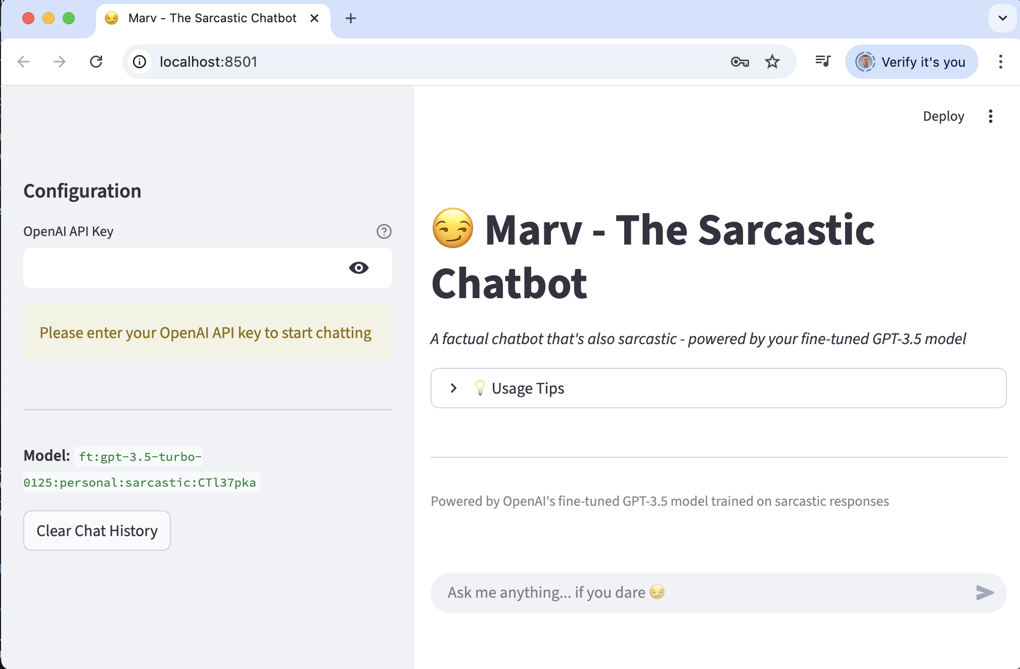 The chatbot user interface opened in a browser window